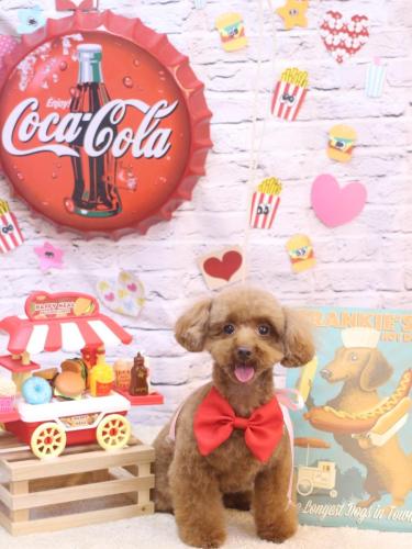 20230926永遠ちゃん